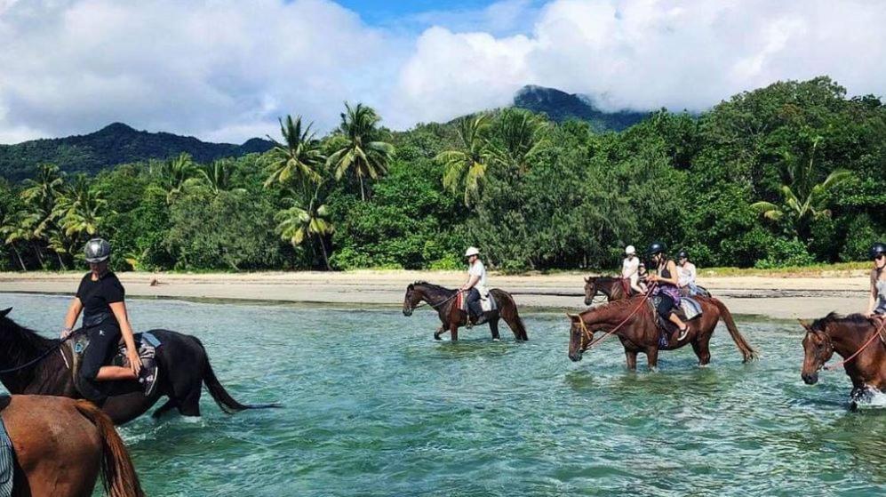 Holiday home Alena Star House, Eco Retreat With Pool, Prime Position Cape Tribulation