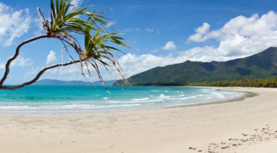 Alena Star House, Eco Retreat With Pool, Prime Position * Cape Tribulation